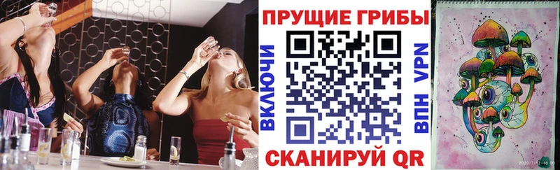 это какой сайт  Апатиты  Псилоцибиновые грибы Psilocybine cubensis  закладка 